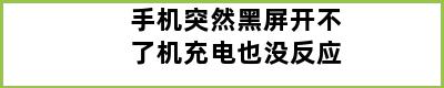 手机突然黑屏开不了机充电也没反应