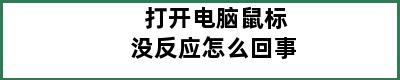 打开电脑鼠标没反应怎么回事