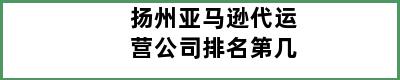 扬州亚马逊代运营公司排名第几