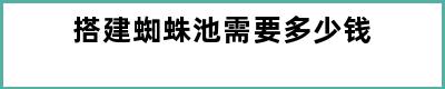 搭建蜘蛛池需要多少钱