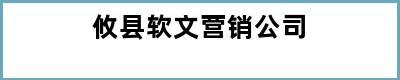 攸县软文营销公司