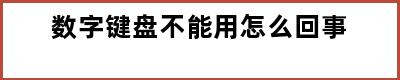 数字键盘不能用怎么回事