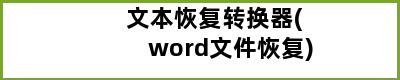 文本恢复转换器(word文件恢复)