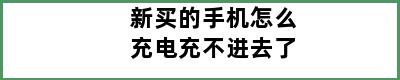 新买的手机怎么充电充不进去了