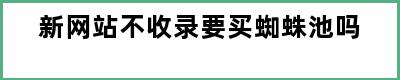 新网站不收录要买蜘蛛池吗