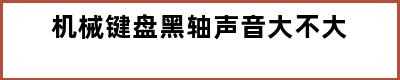 机械键盘黑轴声音大不大