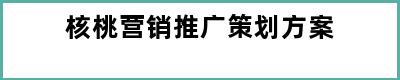 核桃营销推广策划方案