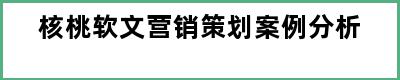 核桃软文营销策划案例分析