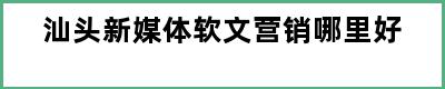 汕头新媒体软文营销哪里好