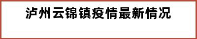 泸州云锦镇疫情最新情况