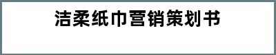 洁柔纸巾营销策划书