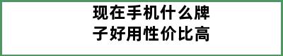 现在手机什么牌子好用性价比高