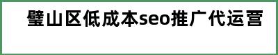 璧山区低成本seo推广代运营