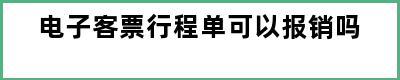 电子客票行程单可以报销吗