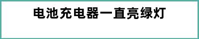 电池充电器一直亮绿灯