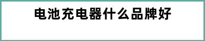 电池充电器什么品牌好