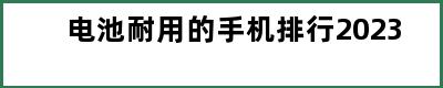 电池耐用的手机排行2023