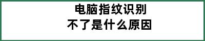 电脑指纹识别不了是什么原因