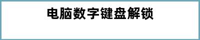 电脑数字键盘解锁