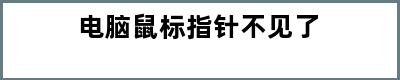 电脑鼠标指针不见了