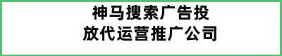 神马搜索广告投放代运营推广公司