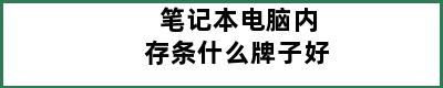 笔记本电脑内存条什么牌子好