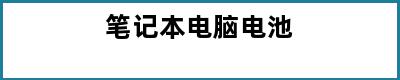 笔记本电脑电池