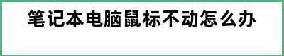 笔记本电脑鼠标不动怎么办