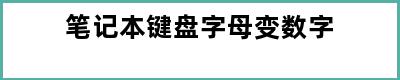 笔记本键盘字母变数字