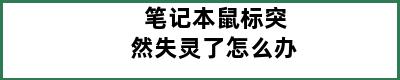 笔记本鼠标突然失灵了怎么办