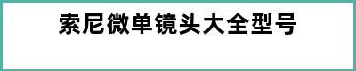 索尼微单镜头大全型号