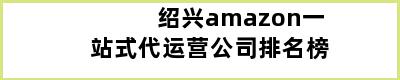 绍兴amazon一站式代运营公司排名榜