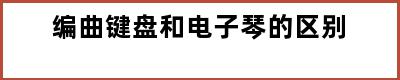 编曲键盘和电子琴的区别