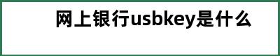 网上银行usbkey是什么