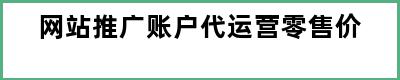 网站推广账户代运营零售价