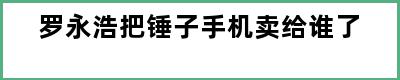 罗永浩把锤子手机卖给谁了