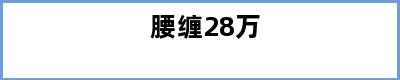 腰缠28万