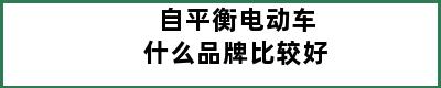 自平衡电动车什么品牌比较好