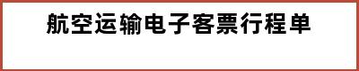 航空运输电子客票行程单