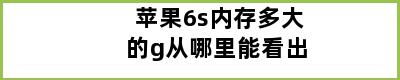 苹果6s内存多大的g从哪里能看出