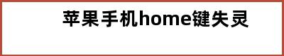 苹果手机home键失灵