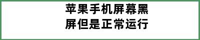 苹果手机屏幕黑屏但是正常运行