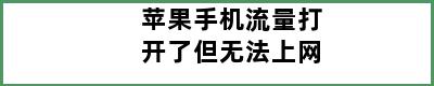 苹果手机流量打开了但无法上网