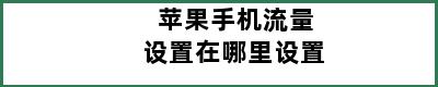 苹果手机流量设置在哪里设置