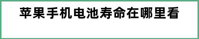 苹果手机电池寿命在哪里看