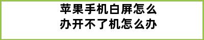 苹果手机白屏怎么办开不了机怎么办