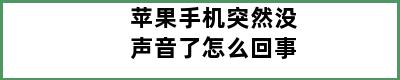 苹果手机突然没声音了怎么回事