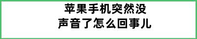 苹果手机突然没声音了怎么回事儿