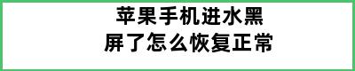 苹果手机进水黑屏了怎么恢复正常