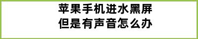 苹果手机进水黑屏但是有声音怎么办